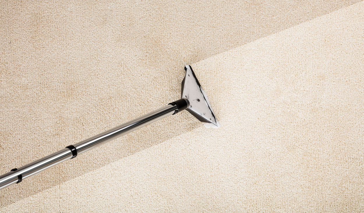 Professional Carpet Cleaning, Canby OR