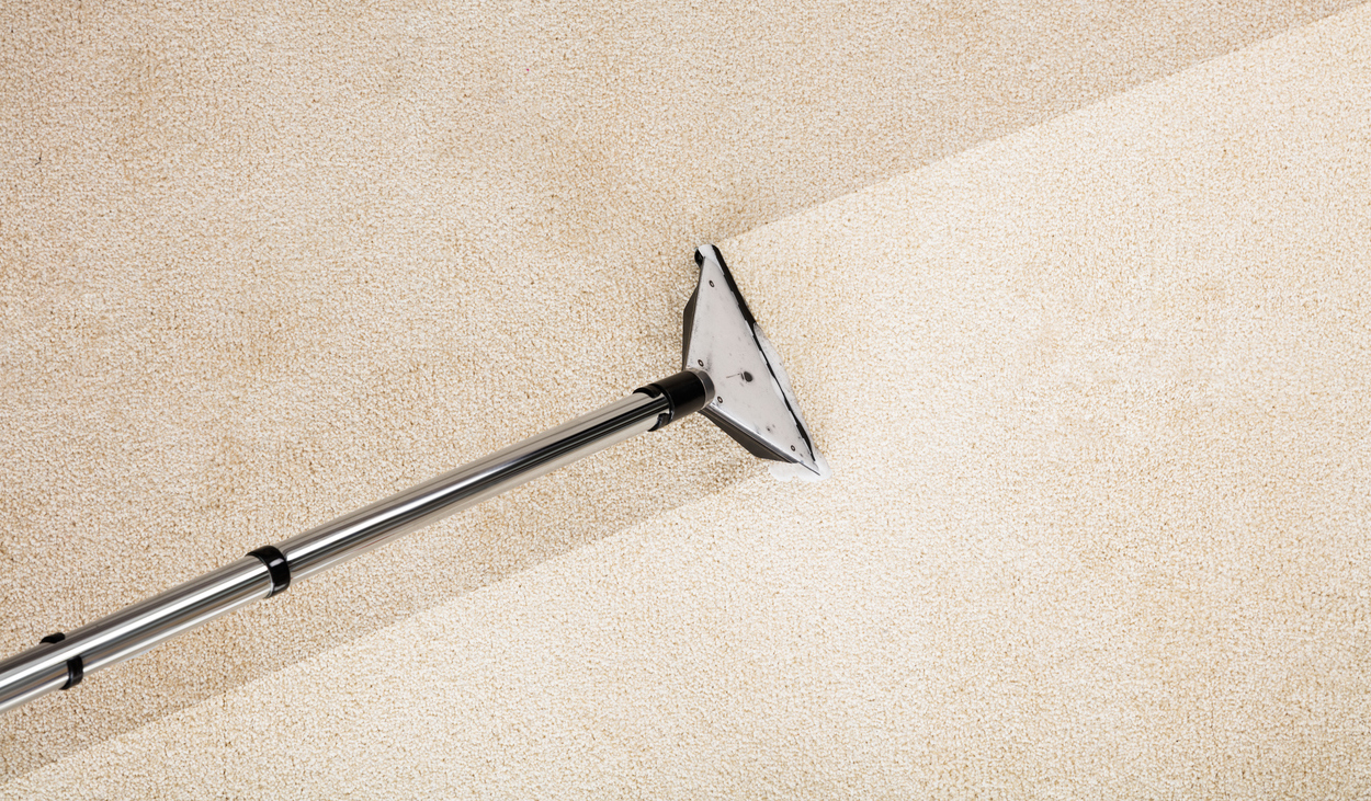 The 8 Best Carpet Cleaning Companies of 2021